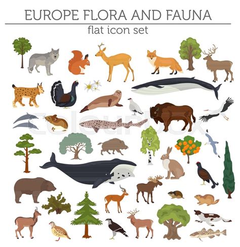 Flat European Flora And Fauna Map Stock Vector Colourbox