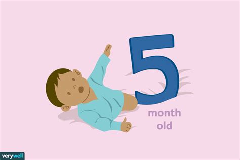 Your 5 Month Old Baby Development And Milestones