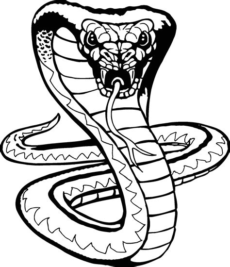 Snake drawing realistic eye drawing snake art snake sketch squid drawing snake painting pencil art drawings love drawings art drawings sketches. Cobra Snake Logo - ClipArt Best
