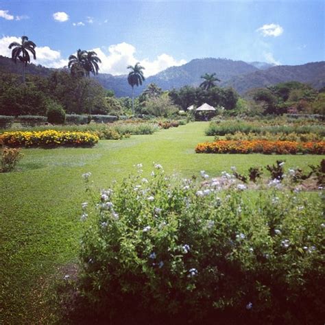 Hope Botanical Gardens Jamaica Fasci Garden