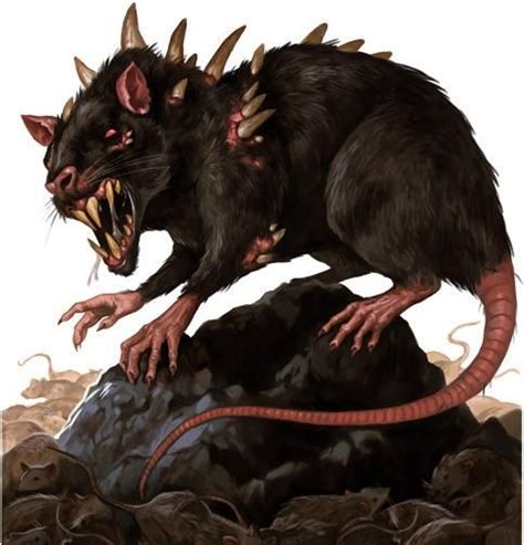 Dire Rat Fantasy Monster Fantasy Creatures Creature Concept
