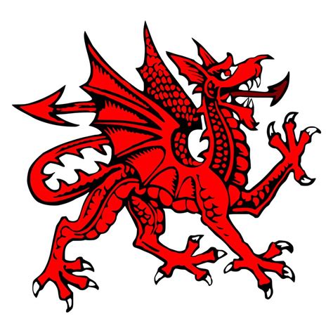 From this story, the red dragon became the symbol of wales. WELSH DRAGON PICTURES, PICS, IMAGES AND PHOTOS FOR YOUR ...