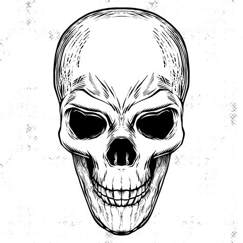 Free download and use them in in your design related work. Linocut Skull Black And White Engraving Illustration ...
