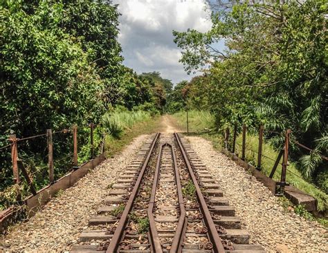 This event is launched to rekindle the thrills of running through the tract of lush greenery and. Five teams shortlisted for Singapore's Rail Corridor ...