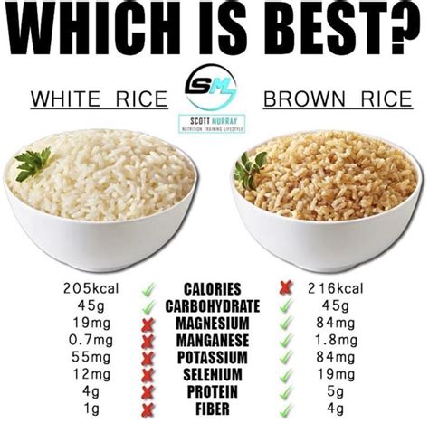 how many calories in 1 cup brown rice cooked keitodillamanguetzlaff pages dev