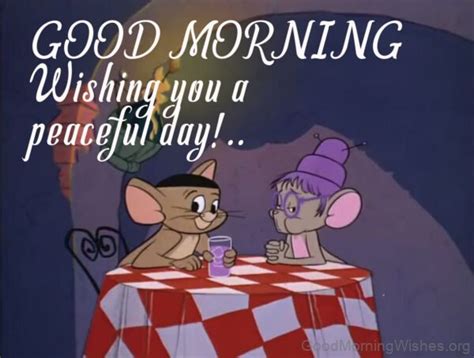 35 Tom And Jerry Good Morning Good Morning Wishes