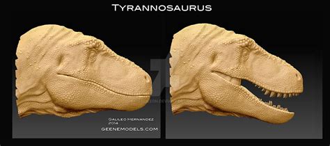 Tyrannosaurus Head By Galileon On Deviantart