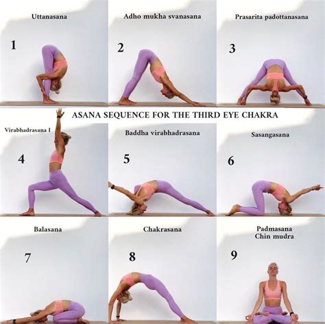 Asana Yoga Poses For Beginners