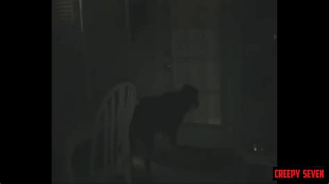 Pet Dog Has Creepy Paranormal Experiencereal Ghost Videos Youtube