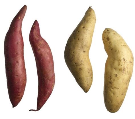 But, there are several different types of potatoes with the sweet potato taking a lot of the spotlight lately. Life on Base: ::Jade's Sweet Potato (Yam) Crisp::