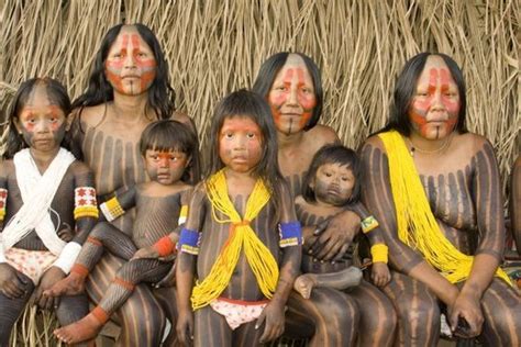 amazônia bruce parry indios brasileiros povos indígenas brasileiros povos tribais