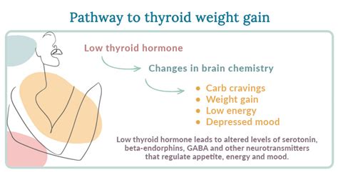 Women S Thyroid Imbalance Women S Health Network