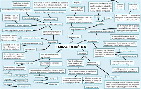 Mapas Conceptuales De La Farmacocin Tica Descargar The Best