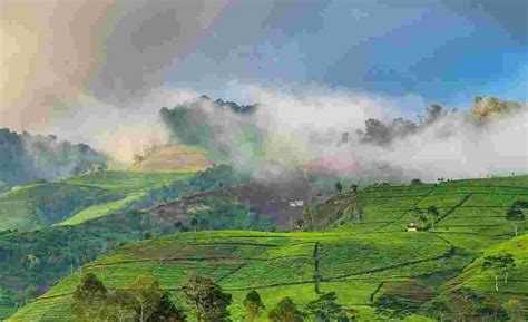 Tiket tersebut hanya untuk masuk area wisatanya saja, sedangkan untuk masuk ke wahana dan spot foto pengunjung harus bayar lagi. Agrowisata Kaligua Brebes: Lokasi, Rute, dan Harga Tiket ...