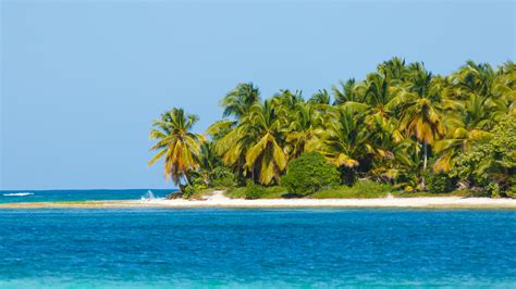 tropical island  stock photo public domain pictures