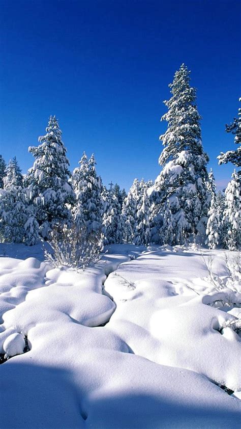 Winter Hintergrundbilder Hd Die 87 Besten Winter Hintergrundbilder