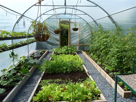 Use Of A Greenhouse To Harbor Vegetables Yardyum Garden Plot Rentals