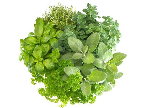 Generation ii products have an excellent reputation in herbal nutrition extracts. Herbal Healing « RTRFM / The Sound Alternative