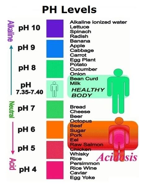 Ph Scale Of Body Fluids