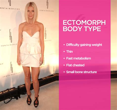 Celebrities With Ectomorph Body Type Art And Bussines