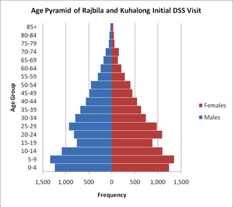 Age Sex Pyramids And Population Pyramids Sexiezpicz Web Porn