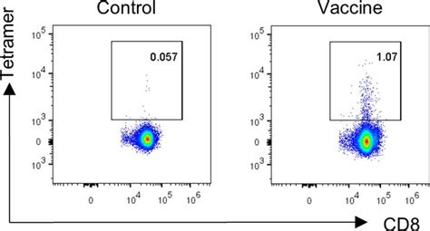The Landscape Of Neoantigen Adpgk Specific Cd T Cells Female
