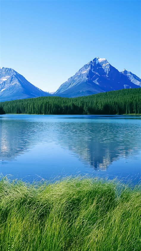Blue Lake Mountains Green Grass Best Htc One Wallpapers