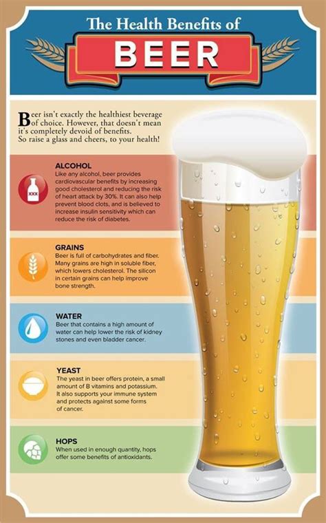 14 Healthy Benefits Of Drinking Beer You Must Know Thefusionfreaks
