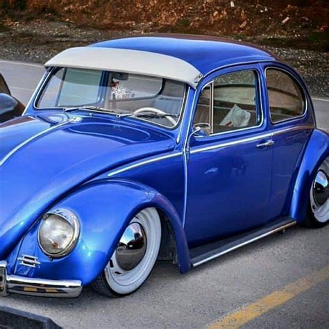 Vw Bugs Volkswagen Beetle Vw Beetles Buggy Rats Lovin Punch Porsche Remember