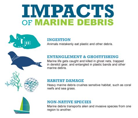 Impacts Of Marine Debris The Struggle For Marine Animals Orandrs