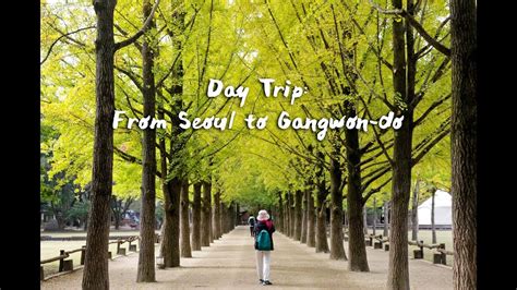 Perfect Seoul Day Trip Nami Island Petite France Gangchon Rail Park