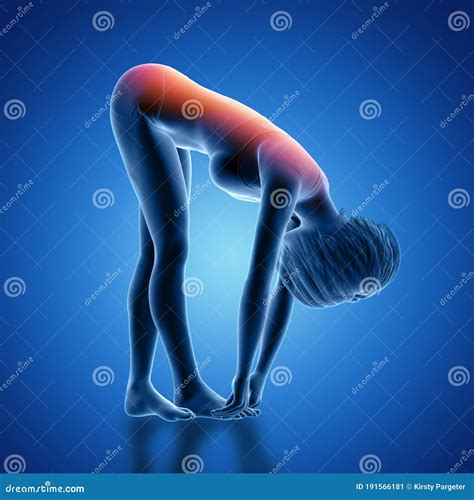 3d Female Figure In Bent Over Position With Back Highlighted Stock Illustration Illustration