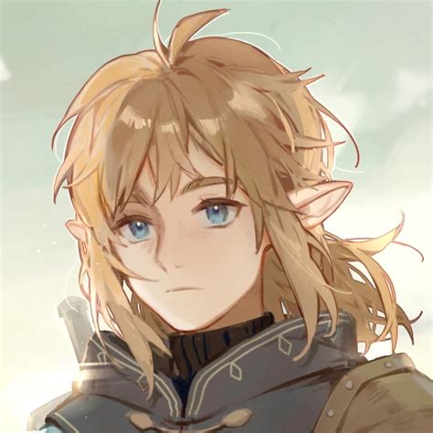 Link Pfp At The Legend Of Zelda Breath Of The Wild Mods And Community