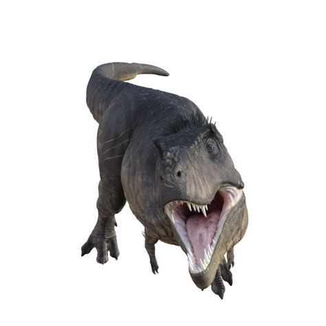 Tyrannosaurus Rex Dinosaur 21013983 Png