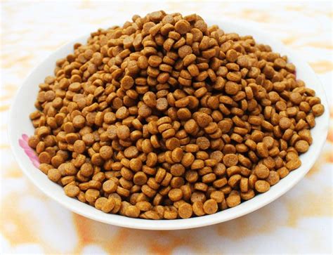 Shop for all of your pet needs at chewy's online pet store. China Manufacturer Appetising Nutritional Pet Food Organic ...