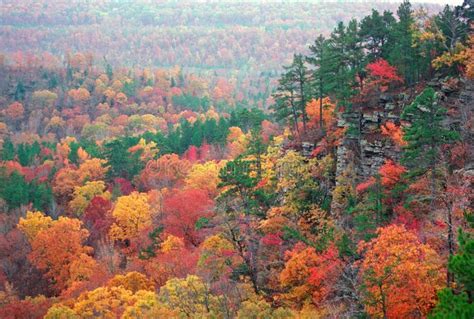 Autumn Color In The Ozarks A Hidden Valley In Arkansas At The Peak Of