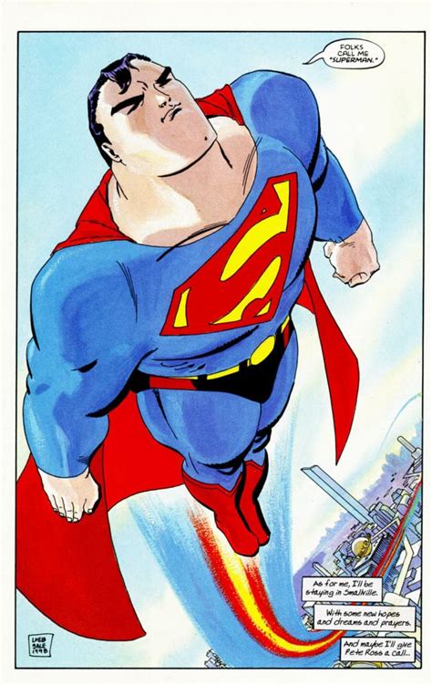 Superman For All Seasons 1