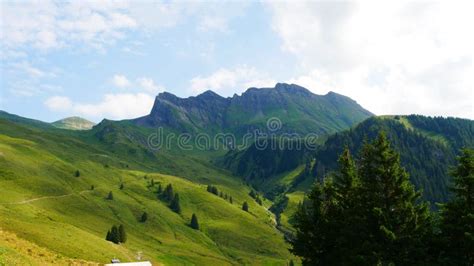 The Green Hills Of The Swiss Alps Stock Image Image Of Alps Beauty