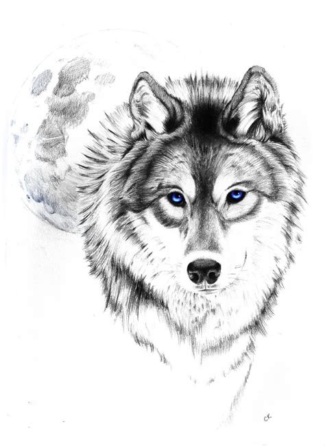 Drawing Wolf Tattoo Designs Yo Tattoo