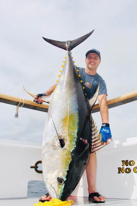 Submit a new fishing spot. Puerto Vallarta Fishing Report - Marla Sport Fishing/No ...