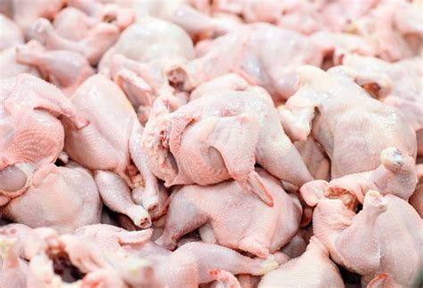 South Korea Okays Phl Poultry Farms To Export Chicken Meat Official