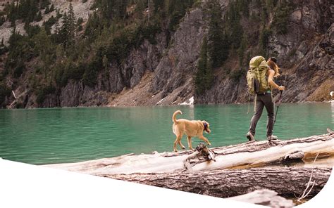 PET SUPPLIES PLUS - The Sheppard