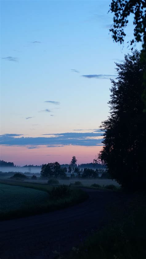 Download Wallpaper 2160x3840 Field Fog Trees Landscape Sunrise