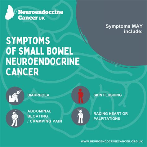 Small Bowel Neuroendocrine Cancer Symptoms Neuroendocrine Cancer Uk
