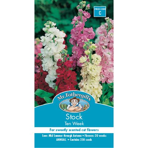 Mr Fothergills Stock Ten Week Perfection Flower Seeds Bunnings Warehouse