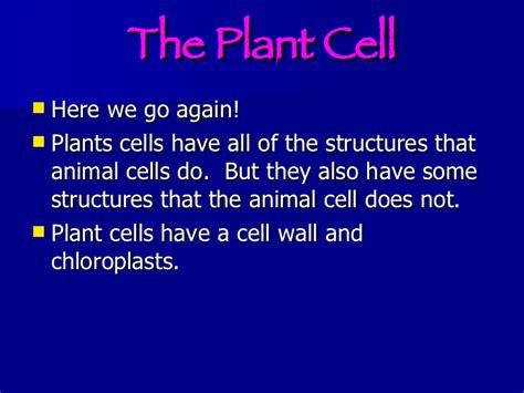 Learn all about plant cells with this printable illustration. Cells Powerpoint Presentation