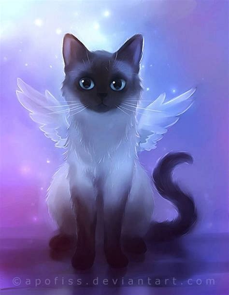 Angel Cat Wallpapers Wallpaper Cave