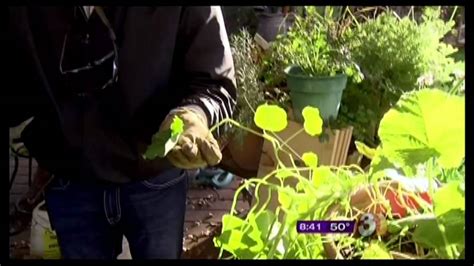 The Garden Guy Talks About What To Plant In January Youtube