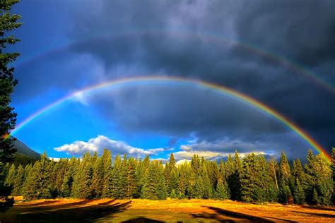 Vibrant And Colorful Rainbow Wallpapersfor Nature Lover Clear Wallpaper
