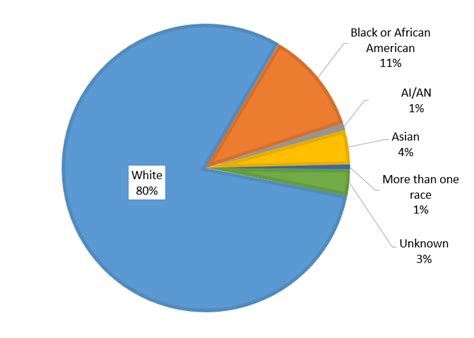Raceethnicity 2014 Community Counts Registry Report Cdc